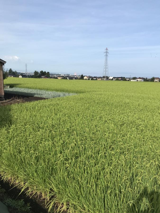 Kizuna No Ie Uozu المظهر الخارجي الصورة