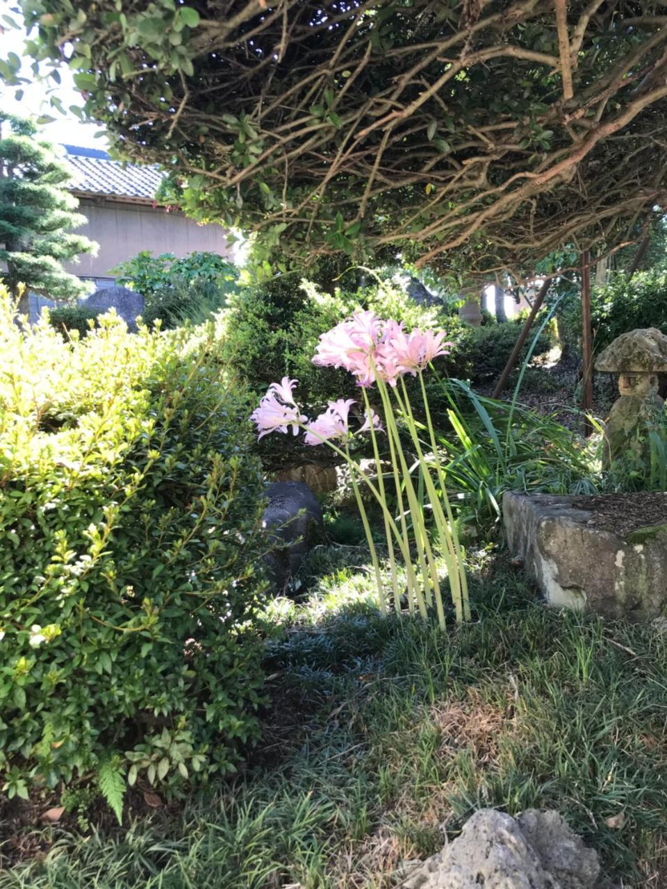 Kizuna No Ie Uozu المظهر الخارجي الصورة